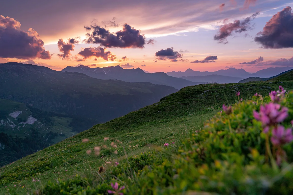 hugues de buyer mimeure lqpechtljuo unsplash